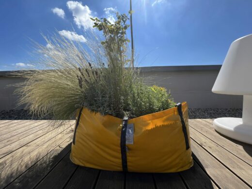 Domeq 1 Terrace - Green Bags