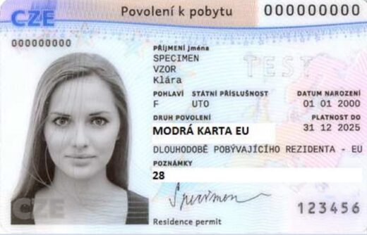 Blue Card: Here Is All You Need to Know About It